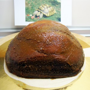tarta tortuga bizcocho 1