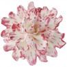 CORTANTE Wilton PEONIA, petalos y hojas de peonia, flores pasta de goma